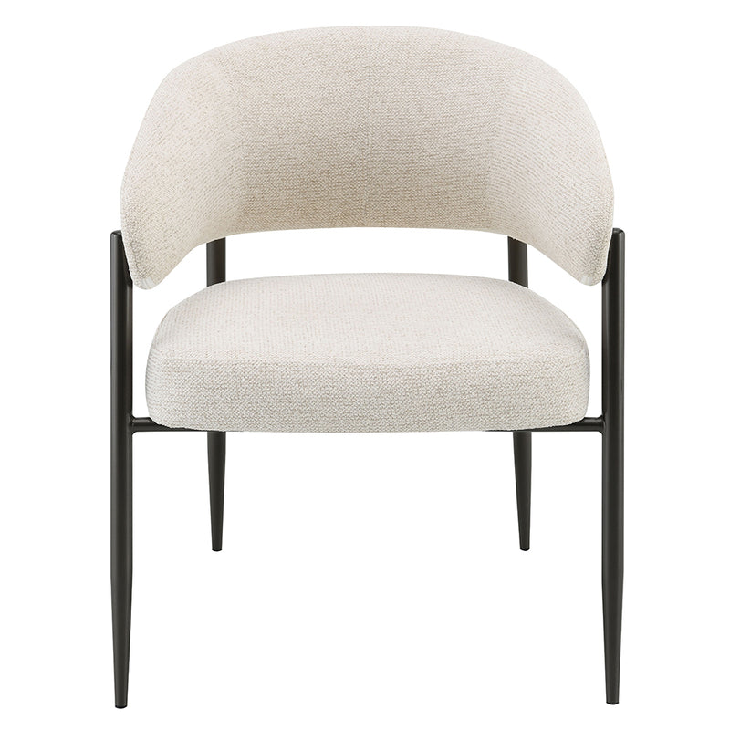 Jirina Arm Chair (Set-2) - DN03679