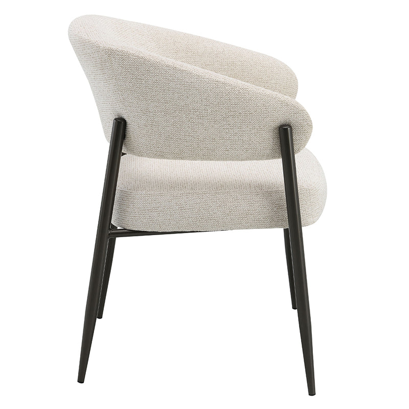 Jirina Arm Chair (Set-2) - DN03679