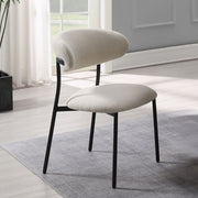 Jirina Side Chair (Set-2) - DN03677