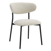 Jirina Side Chair (Set-2) - DN03677