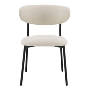 Jirina Side Chair (Set-2) - DN03677
