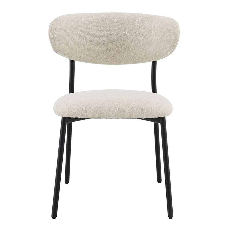 Jirina Side Chair (Set-2) - DN03677