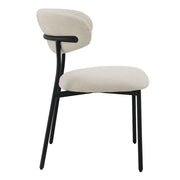 Jirina Side Chair (Set-2) - DN03677