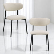 Jirina Side Chair (Set-2) - DN03677