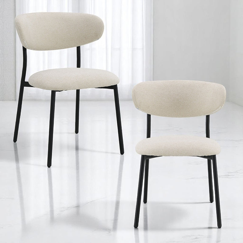 Jirina Side Chair (Set-2) - DN03677