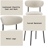Jirina Side Chair (Set-2) - DN03677