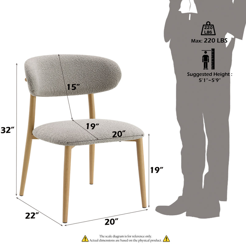 Kacey Side Chair (Set-2) - DN03716