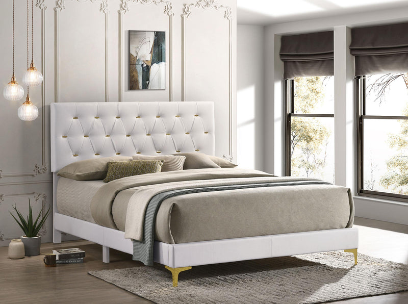 Kendall Upholstered Queen Panel Bed White - 224401Q