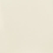 Kimonte 2-Piece Dining Room Chair in Ivory - PKG000074