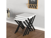 Kiraz Nesting Table in White - 755-KIR-NT-WHI