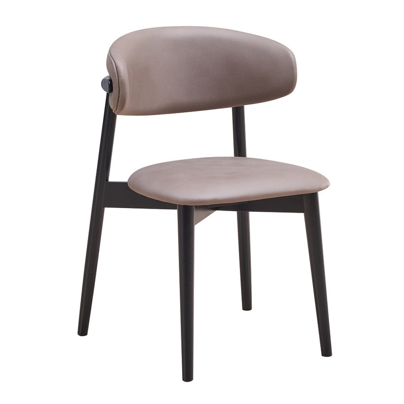 Lanae Side Chair (Set-2) - DN02365