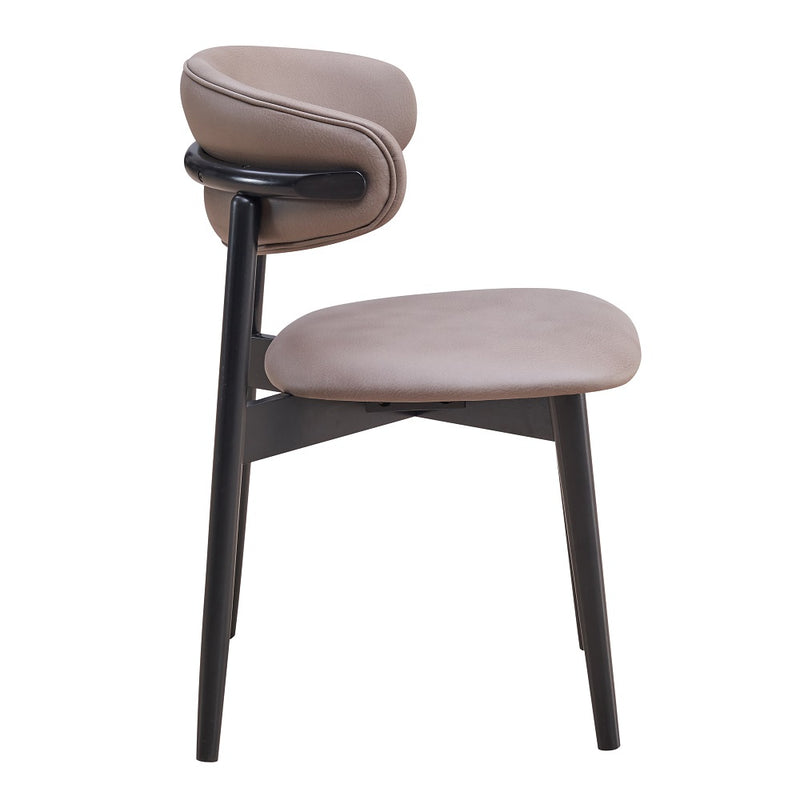 Lanae Side Chair (Set-2) - DN02365