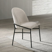 Lark Side Chair (Set-2) - DN04676