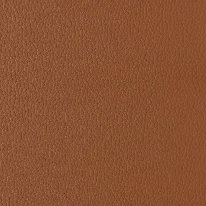 Leesa Vegan Leather Upholstered Dining Chair in Cognac, Set of 2 - 88034Cognac-C
