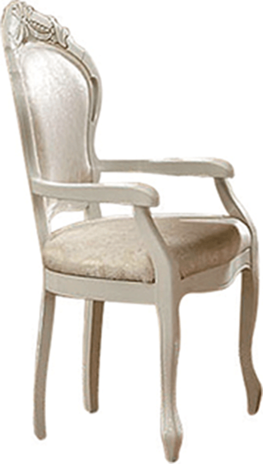 Leonardo Arm Chair - Gate FurnitureDining Chair