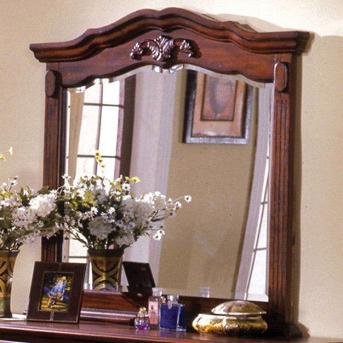 Lewisburg Dark Cherry Mirror - CM7721M