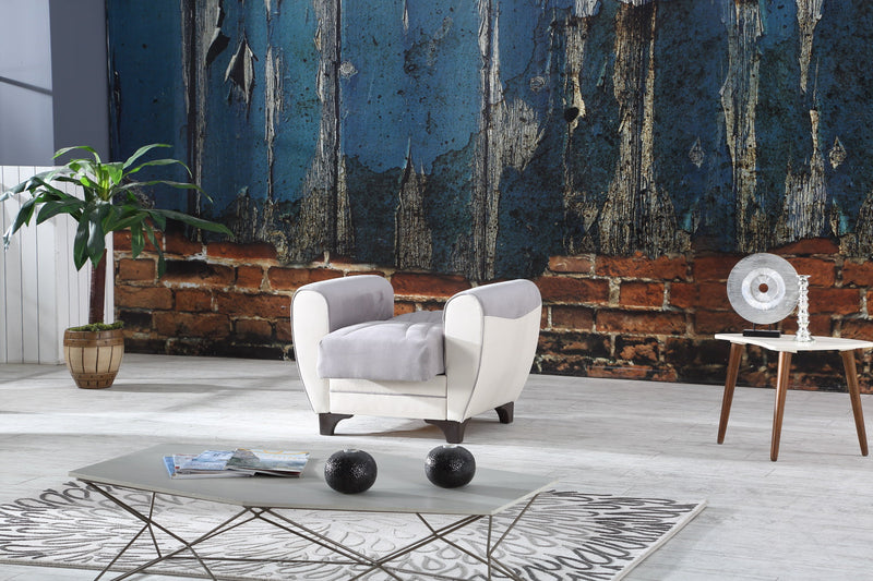 Leydi Chair Grey in Grey - 102-LEY-NR101-1