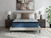 Limited Edition Plush PT 3.0 White Full Mattress - M45221