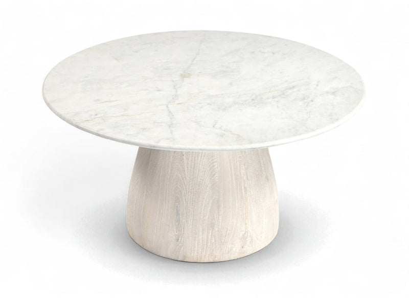 Liona Marble And Mango Wood Coffee Table in White - 774White-CT