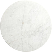 Liona Marble And Mango Wood Coffee Table in White - 774White-CT