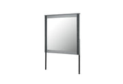 Logan Silver Mirror - LOGAN-SILVER-MR
