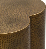 Lotus Iron Coffee Table in Brass - 22010Brass-CT