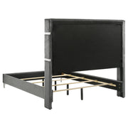 Lucia 61-inch Upholstered Queen Wingback Bed Grey - 224991Q