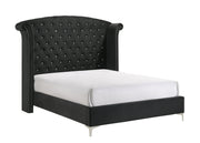Lucinda Black King Upholstered Wingback Panel Bed - Gate FurnitureKing Bed