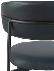 Lupita Vegan Leather Upholstered Dining Chair in Black, Set of 2 - 760Black-C
