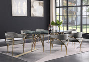 Madelyn Velvet Upholstered Dining Chair in Grey, Set of 2 - 553Grey-C