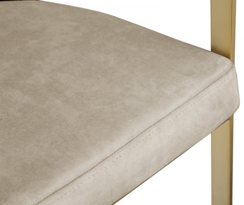 Marcello Velvet Upholstered Dining Chair in Stone, Set of 2 - 595Stone-C