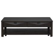 Marcelo Wood Coffee Table with 2 Drawers and Shelf Coffee - 736068