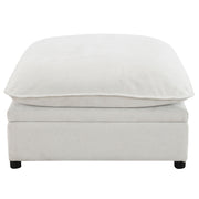 Marisa Modular Ottoman w/Storage - LV04415
