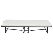 Massey Twin Folding Bed Frame with Memory Foam Mattress Black - 305686T