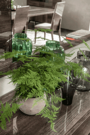 Medea Dining Room SET - p11047
