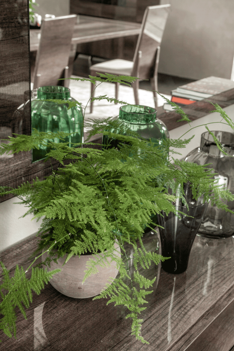 Medea Dining Room SET - p11047