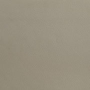 Medley Genuine Leather Queen Panel Platform Bed Tan - 315911TANQ