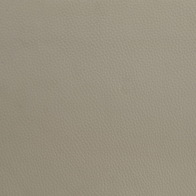 Medley Genuine Leather Queen Panel Platform Bed Tan - 315911TANQ