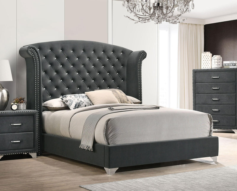 Melody Upholstered Queen Wingback Bed Grey - 223381Q