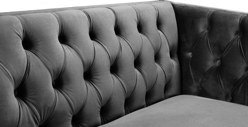 Michelle 66" Velvet Upholstered Loveseat in Grey - 652Grey-L