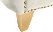 Michelle Velvet Upholstered Chair in Cream - 652Cream-C