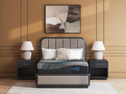 Millennium 2.0 Hybrid 14 Inch Black Queen Mattress - M31331