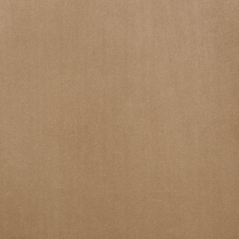 Monarch Velvet Performance Fabric Upholstered Dining Chair in Beige, Set of 2 - 75035Beige-C