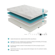 MT-G10ET*2 10" Split Eastern King Gel-Infused Memory Foam Mattress (2-Piece) - MT-G10ET*2