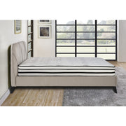 MT-PH12CK 12" California King Hybrid Mattress - MT-PH12CK