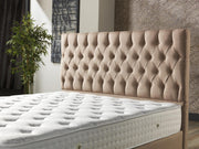 Nevada Storage Bed With Headboard Cream - Queen in Cream - 110-NEV-CREAM-150-SB