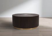 Nile Oak Wood Top And Metal Base Coffee Table in Brown - 218-C