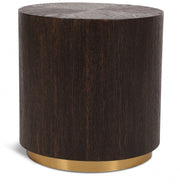 Nile Oak Wood Top And Metal Base End Table in Brown - 218-E