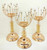 NY-120G - NY-120G