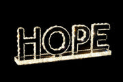 NY-HOPE - NY-HOPE